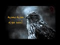 ضربه ب ضربه غناء    احمد موزه نجومي