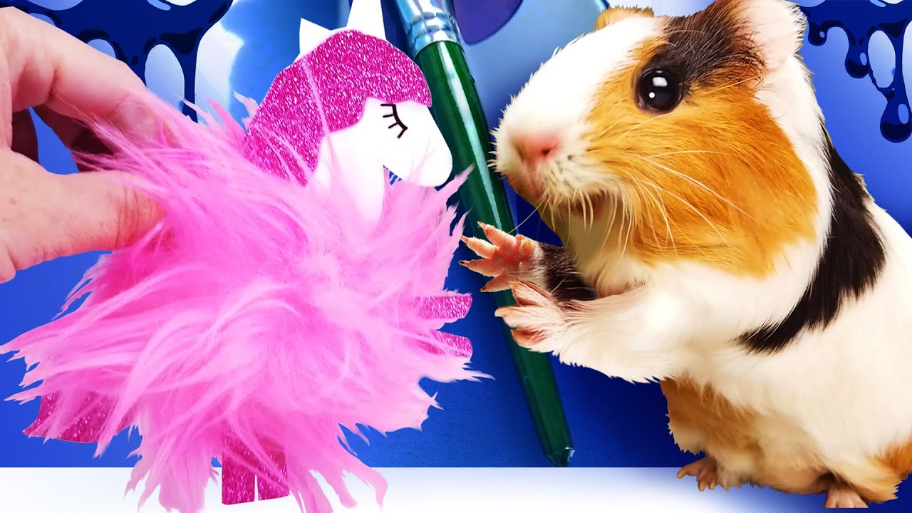 морские свинки буся и кузя. кузя и бузя морские свинки. морская свинка бузя канал. кузя и бузя морские свинки. свинка бузя.