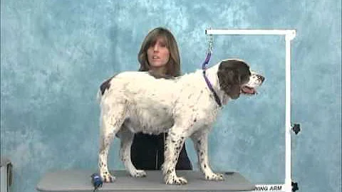 How to Shave Dogs   Jodi Murphy Instructional Vide...