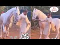 Salman Khan Enjoying Quality Time with His Sultan Horse at Panvel Framhouse Horse Riding