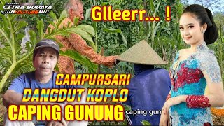 CAPING GUNUNG ~ CAMPURSARI DANGDUT KOPLO || Cover musik tembang jawa +(  Lirik )