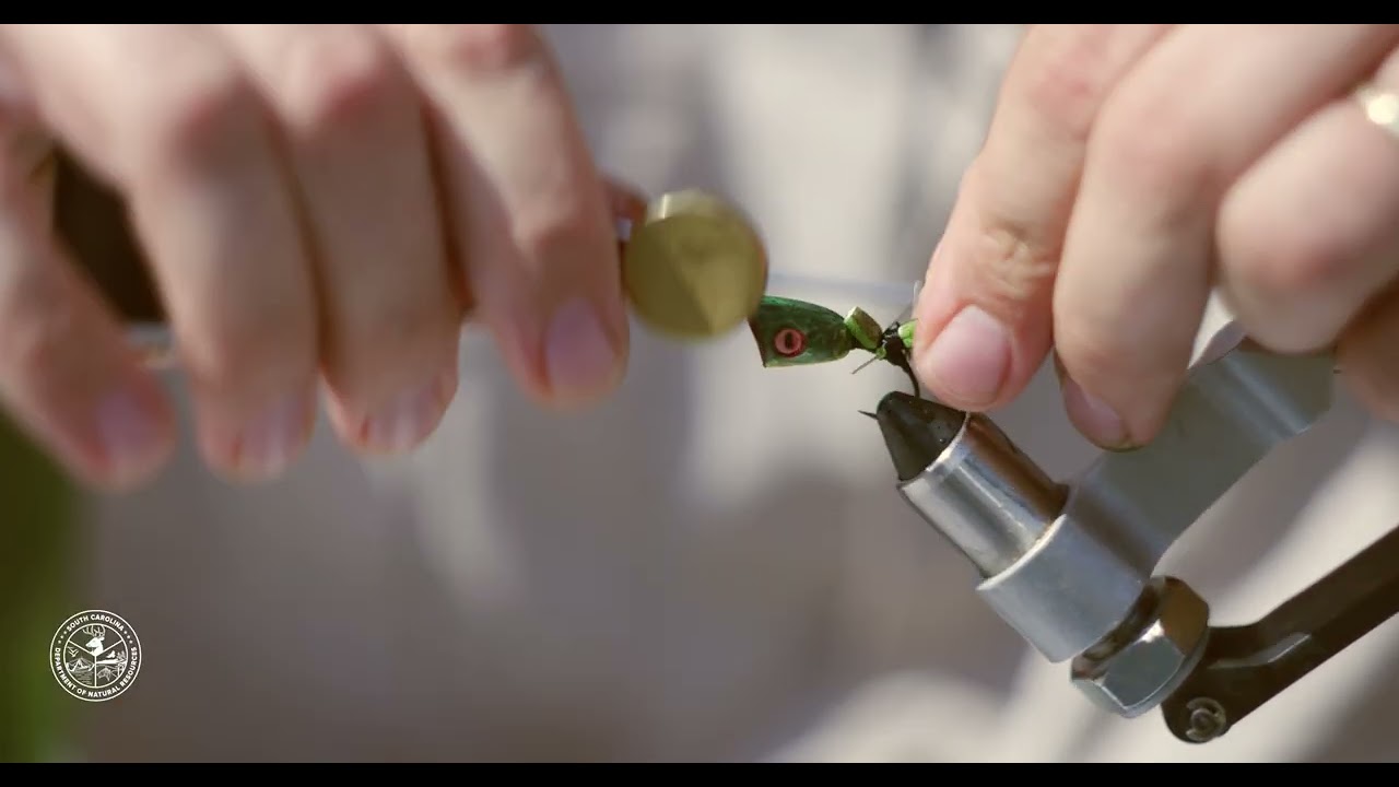 Bartram’s Bass Dragonfly Popper