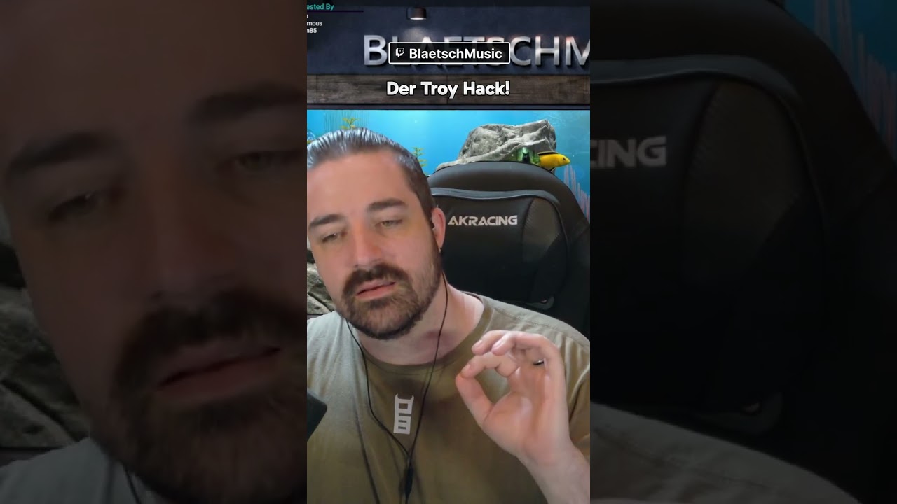 Du willst bei Troyhammaren Gameplay sehen?