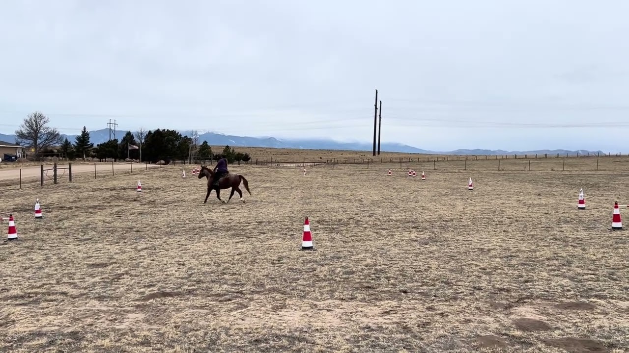 Monja Bastan / Skippers Creed - Feb 13 2025 - WDAA Test 1