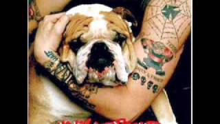 Sheer Terror - Bulldog - Ugly and Proud