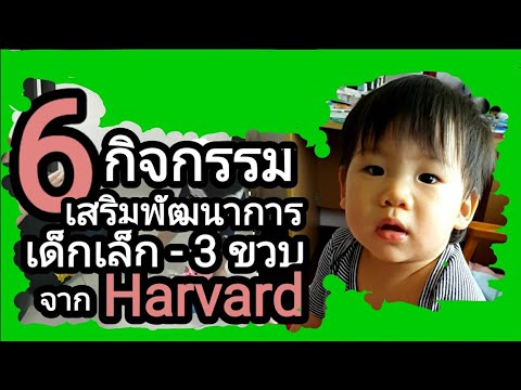 กิจกรรมเสริมพัฒนาการเด็กเล็ก - 3 ขวบจาก Harvard