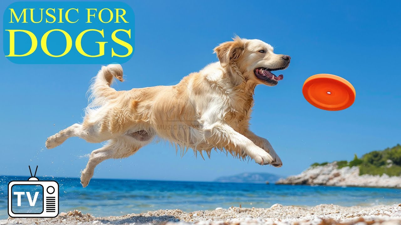 Relaxing Music For Dogs Videos To Entertain And Chill Dogs relaxing-music-for-dogs-videos-to-entertain-and-chill-dogs