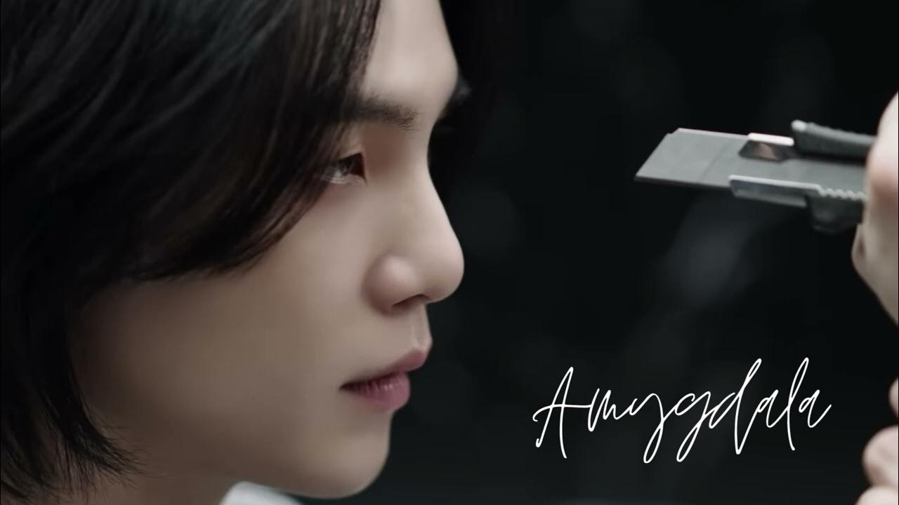 Amygdala agust d перевод. Амигдала шуга. Amygdala suga. Agust d amygdala. Agust d amygdala.