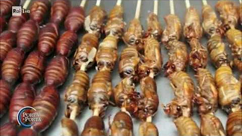 Quali sono gli insetti che si possono mangiare?