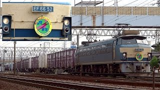 JR貨物 EF66-52 貨物列車(5073レ ゼロロク 広車公開HM)② 東海道本線 笠寺駅 発車