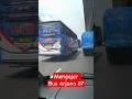 Mengejar Bus Arjuna 87#automobile #busmania #bus #busmaniacomunity #bismania #truck #trending