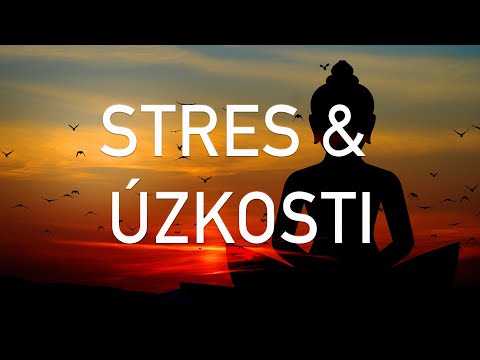 Video: Řízení A Stres