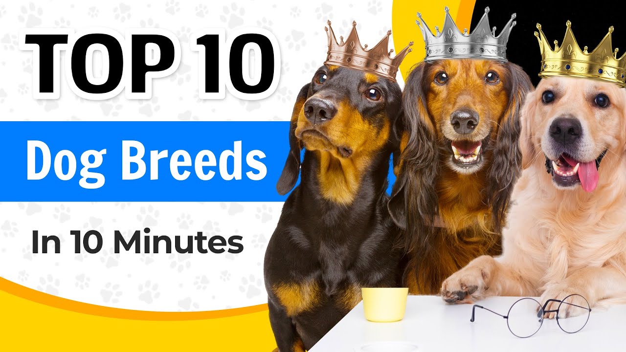 Top Ten Lists Website