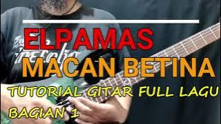 ELPAMAS MACAN BETINA TUTORIAL GITAR FULL LAGU