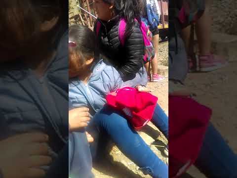 Gemelos de paseó en tren video editing software free