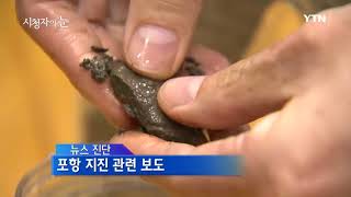 2017-11-26 [시청자의 눈] / YTN DMB