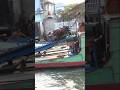 Long tail boat carrying ducks