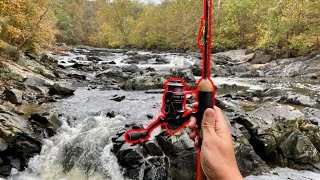 I CLIMBED UP A WATERFALL AND FOUND A NEW FISH SPECIES!!! (Unexpected)