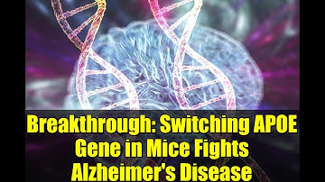 Breakthrough: Switching APOE Gene in Mice Fights Alzheimer