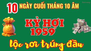 Khổ Cũng Đổi Vận, Kỷ Hợi 1959: Đúng 10 Ngày Cuối Tháng 10 Âm, Lộc Về Không Ngớt, Giàu Có Vô Cùng