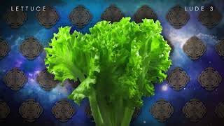 🥬 Lettuce - 'Lude 3 (Official Visual)
