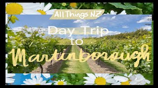 EP2: Wellington to Martinborough Day trip