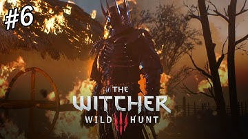 THE WITCHER 3: WILD HUNT | GAMEPLAY / WALKTHROUGH | NILFGAARDIAN CONNECTION PART 6