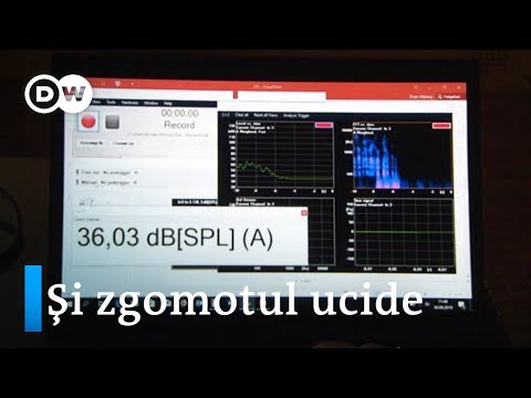 Video: Cum Se Reduce Zgomotul