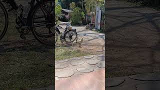 Our Bikes Look Suious In A Remote Village