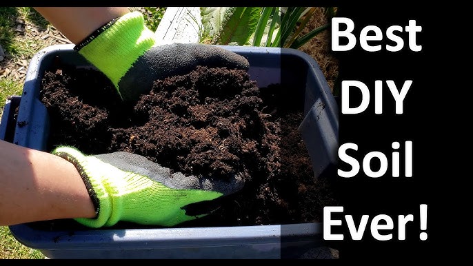 Best Soil For Indoor Plants (DIY Guide) - Growfully