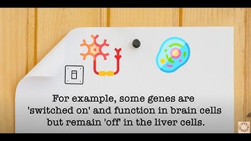 Gene Ontology | Sci Bagels Edu-Vid