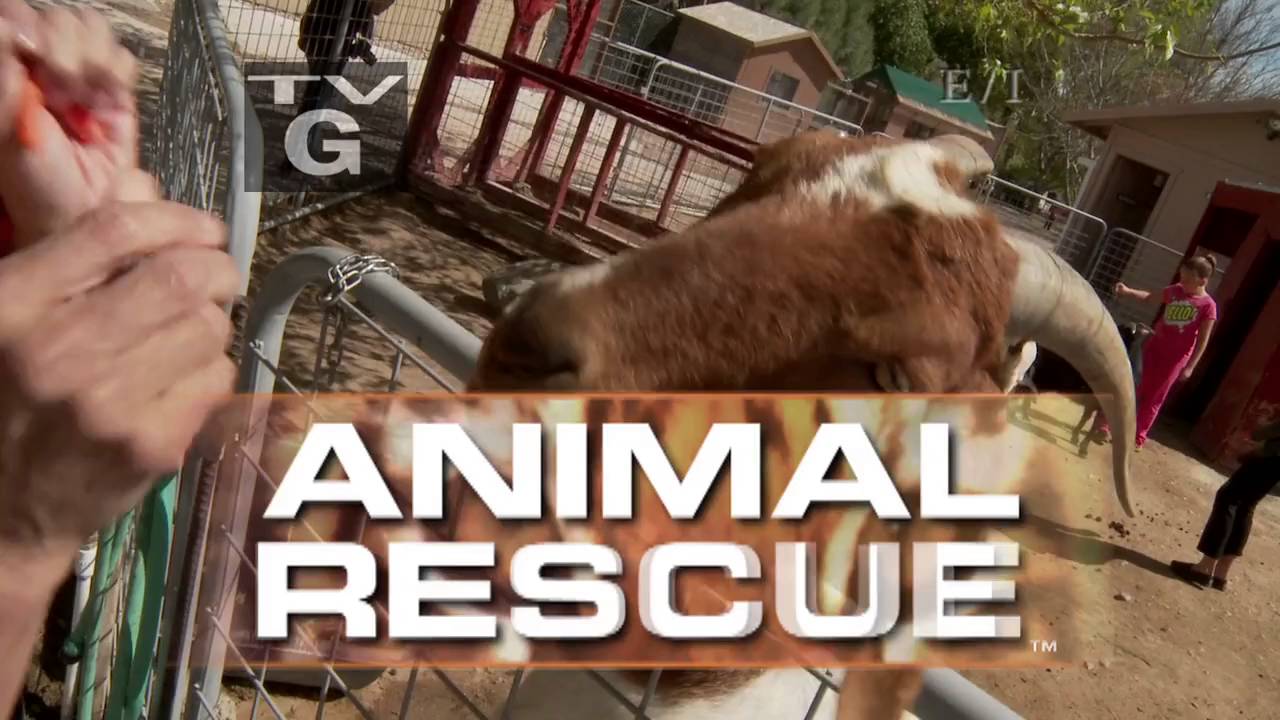 Updated Theme from "Animal Rescue" 