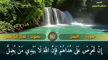 سورة النحل بصوت القارئ عامر الكاظمي