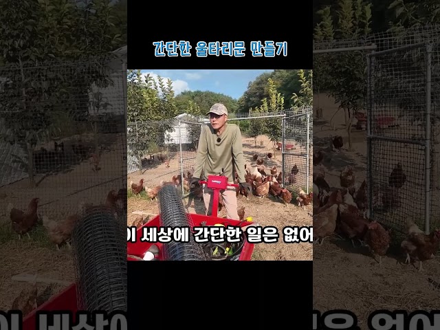 금방 만들 줄 알았는데 하루 종일 걸린 간이문 만들기