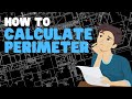 Perimeter and Area Concepts