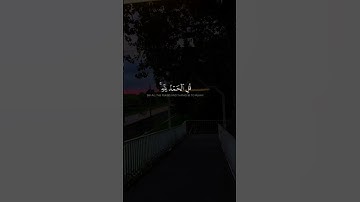 قل الحمد لله بل اكثرهم لا يعقلون#عبدالرحمن_مسعد #تلاوة_هادئة #محتوى_مفيد #قرآن_کریم # Quran