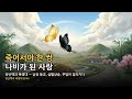 죽어서야 한 쌍 나비가 된 사랑 — 양산백과 축영대 | 동양 고전의 신비한 이야기 EP46