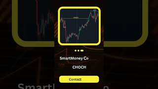 Where can I hire a PineScript developer for TradingView?