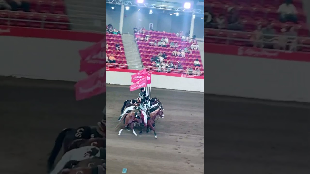 Calgary stampede Show Riders - Horse Warmup 