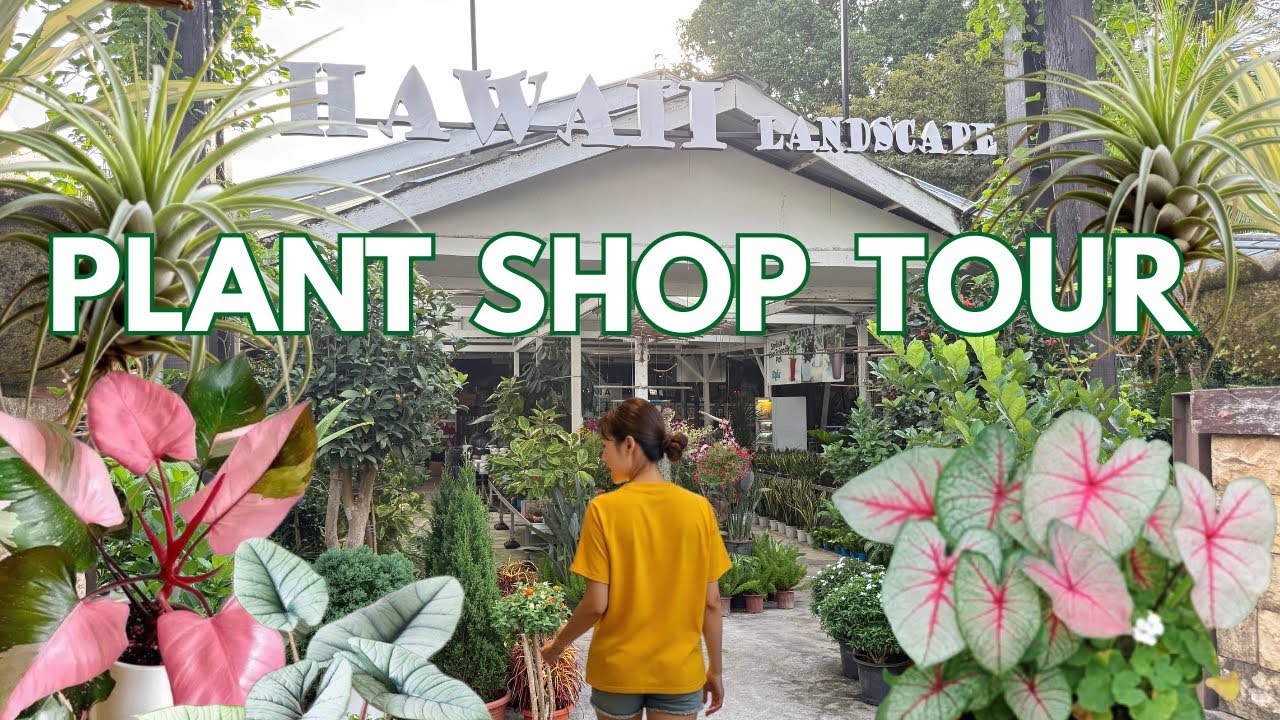 🌿Plant Garden Shop Tour | Visiting A Plant Shop | Singapore Plant Shop