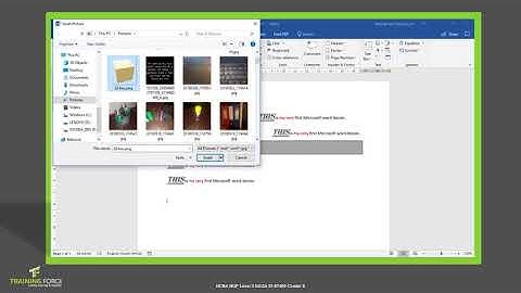 Cluster 8 Topic 2 Word Processing Inserting objects