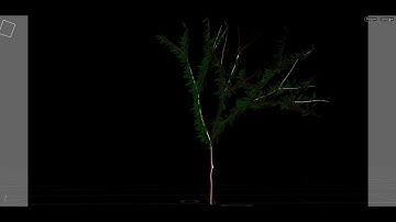 Tree Rig and Sim - 01