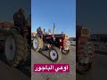 الباجور