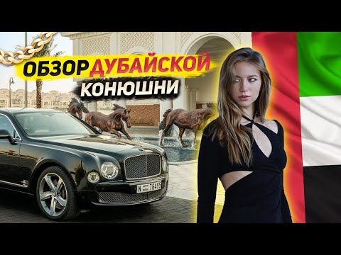 ЛОШАДИ ШЕЙХОВ / Дубайская конюшня королей 👑💰