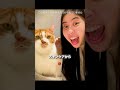 彼女は猫と話せるようになった 🐱😳