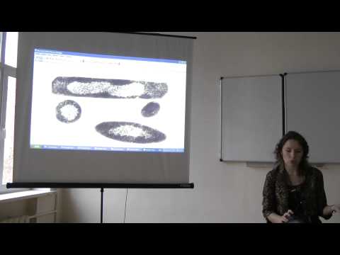 8.11.13 Цитология -
