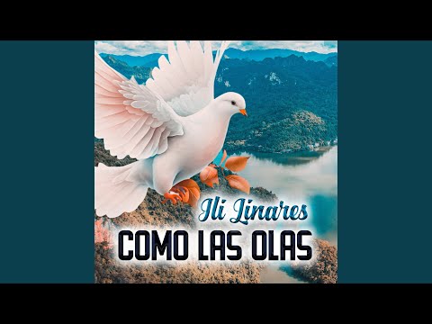 Como las Olas