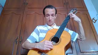 Video thumbnail of "The Waves are not the Ocean (Paty Metheny) Classical guitar arrangement"