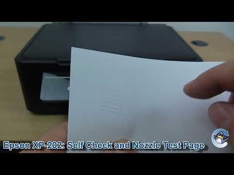 Epson Expression Home XP-202: How to do a Self Test & Nozzle Check Page