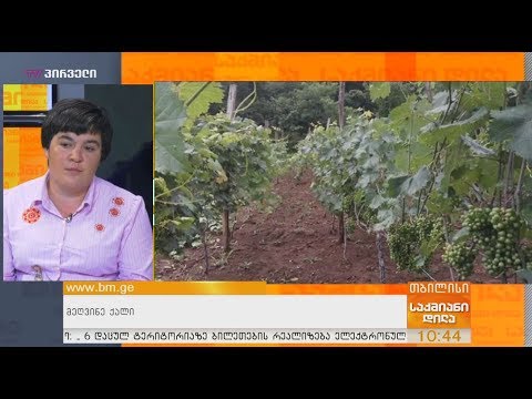 მეღვინე ქალი